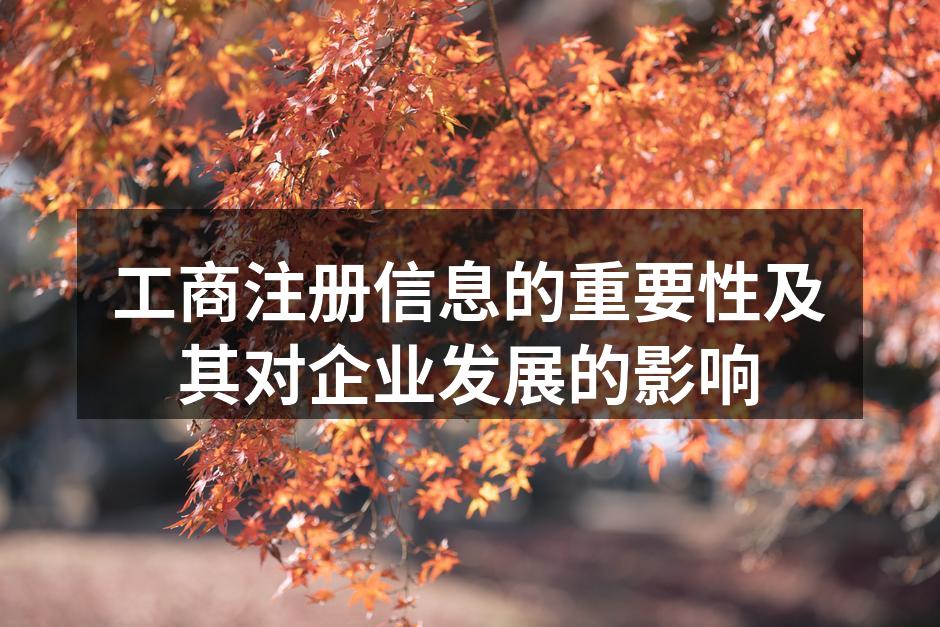 工商注册信息的重要性及其对企业发展的影响