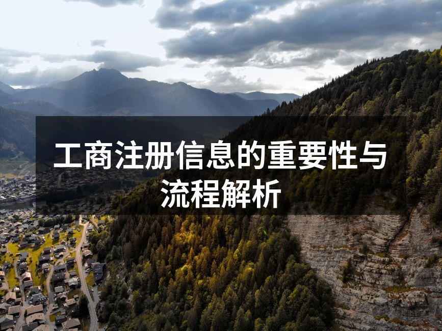 工商注册信息的重要性与流程解析