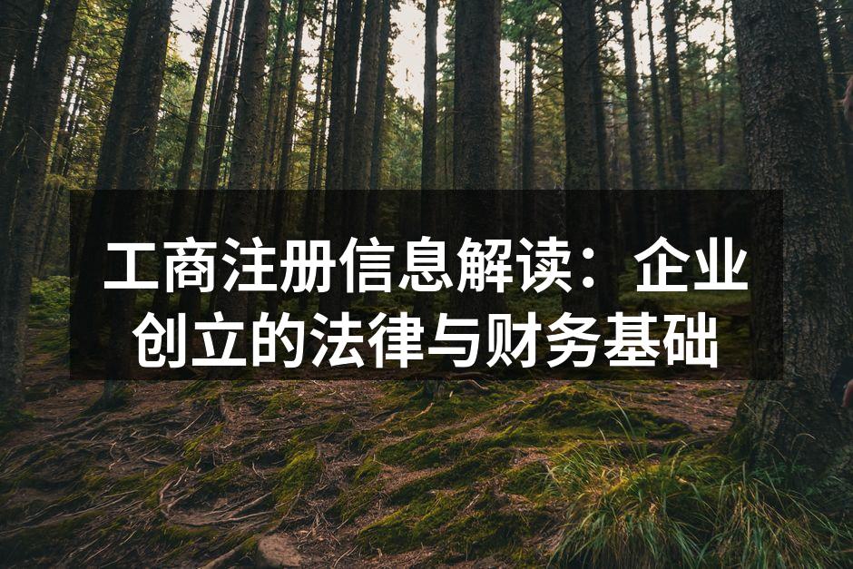 工商注册信息解读：企业创立的法律与财务基础