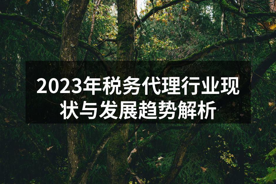 2023年税务代理行业现状与发展趋势解析
