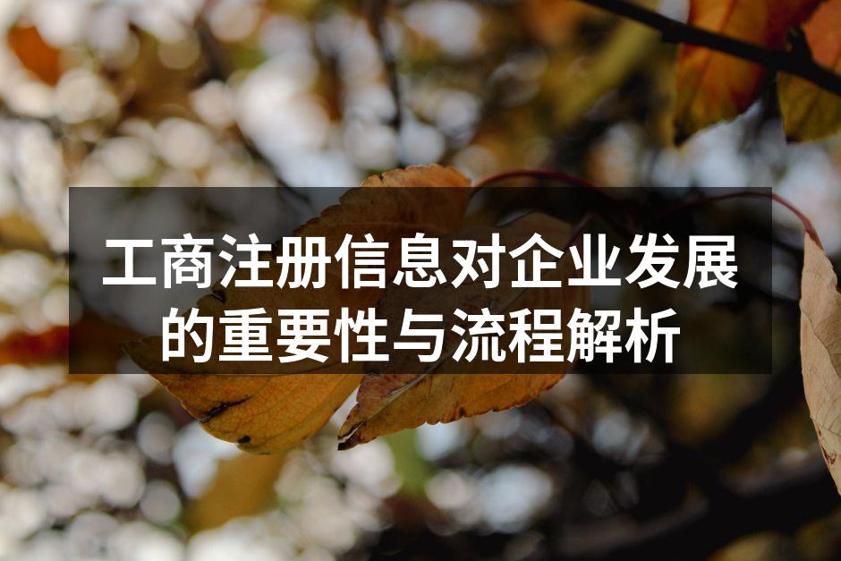 工商注册信息对企业发展的重要性与流程解析