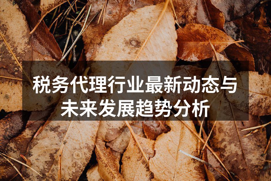 税务代理行业最新动态与未来发展趋势分析