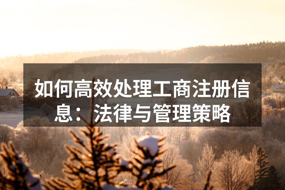 如何高效处理工商注册信息：法律与管理策略