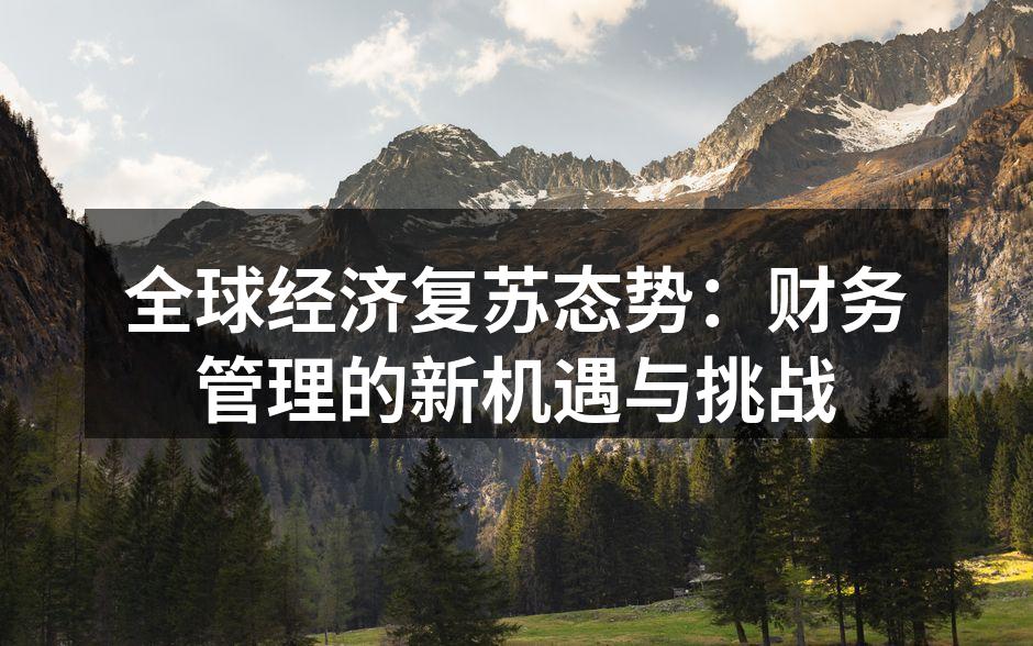 全球经济复苏态势：财务管理的新机遇与挑战