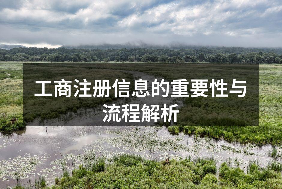 工商注册信息的重要性与流程解析
